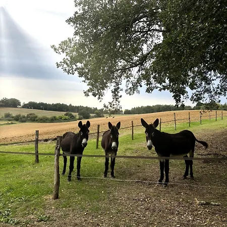 D Hotes Puchouaou Sur Le Chemin De Saint Jacques De Compostelle Bed and breakfast 3*