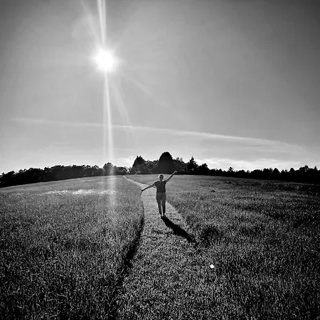 D Hotes Puchouaou Sur Le Chemin De Saint Jacques De Compostelle Bed and breakfast 3*