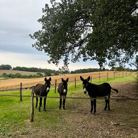 D Hotes Puchouaou Sur Le Chemin De Saint Jacques De Compostelle 3* Montesquiou