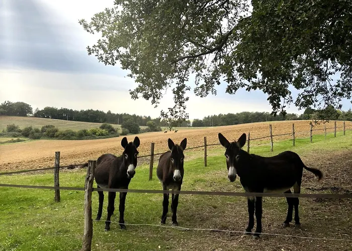 D Hotes Puchouaou Sur Le Chemin De Saint Jacques De Compostelle Bed & Breakfast 3*