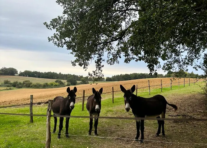 D Hotes Puchouaou Sur Le Chemin De Saint Jacques De Compostelle 3* Montesquiou